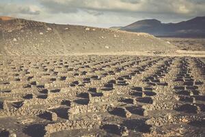 viñedos en la geria, lanzarote, canario islas, España. foto