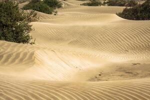 Sand dunes on Famara beach, Lanzarote photo