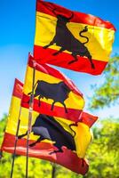 Spanish national official flags. Patriotic symbol photo