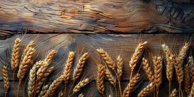 ai generado de madera antecedentes con orejas de grano, eco antecedentes foto