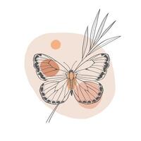 insecto mariposa en pastel antecedentes con planta. mano dibujado boho estilo. vector