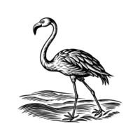 black flamingo isolated on white background vector