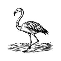 black flamingo isolated on white background vector