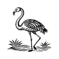 black flamingo isolated on white background vector