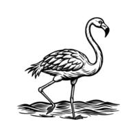 black flamingo isolated on white background vector