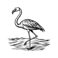 black flamingo isolated on white background vector