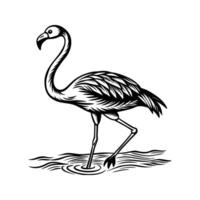 black flamingo isolated on white background vector