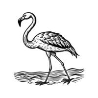 black flamingo isolated on white background vector