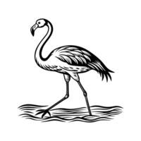 black flamingo isolated on white background vector