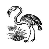 black flamingo isolated on white background vector