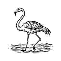 black flamingo isolated on white background vector
