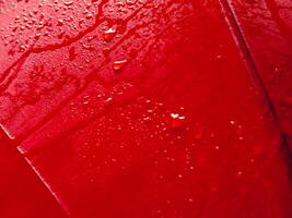 Red umbrella texture with water drops for rainy day background. photo