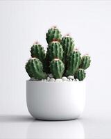 AI generated Cactus plant in white pot on transparent background photo