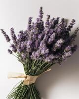AI generated Lavender flowers on white background photo