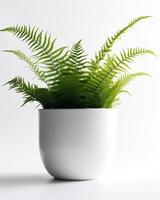 AI generated Fern in a white pot on a white table photo