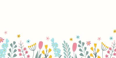 Horizontal floral backdrop decorated with colorful blooming flowers, tulips and leaves. Spring or summer botanical flat illustration on white background vector