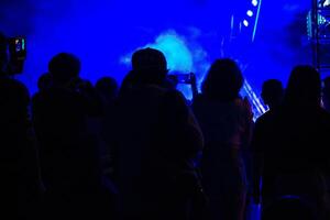 grupo de personas teniendo divertido a música concierto foto