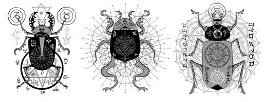 Design set with mystic decorated bugs and esoteric symbols isolated on white, hand drawn line art. No foreign language, all signs are fantasy ones. vector