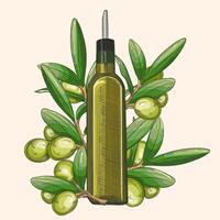Olive oil glass bottles with olive leaves. realistic template design. vector
