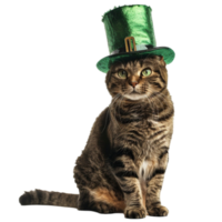 A cute cat with green hat on transparent background Generated AI png