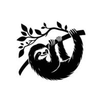 Cute animal sloth on a tree branch on a white background vector