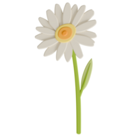 A daisy transparent background in a cute decoration foam art style spring floral concept,3D illustration png