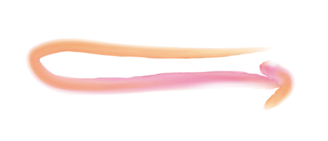 spazzola ictus frecce acqua colore struttura nube png