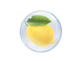 Fresh lemons, in bubble, transparent background png