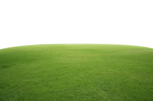 groen gras veld, transparant achtergrond png