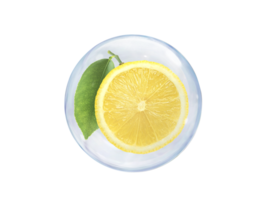 Fresh lemons slice, in bubble, transparent background png