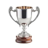 AI generated Silver trophy cup isolated on white background. 3D illustration. Clipping Path photo