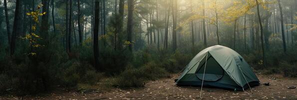 AI generated Tent in the pine forest. Camping in the forest. photo