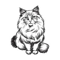 Ragdoll Cat Illustratiom, Art, Icons, and Graphics, black and white Ragdoll cat vector