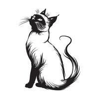 siamés gato ilustración, arte, iconos, y gráficos vector