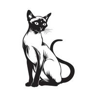 Siamese cat Design,Image and Illustrations vector