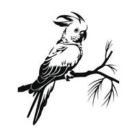 cacatúa pájaro exótico rama imagen ilustración vector
