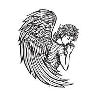 Seraphim Design Images On white background vector