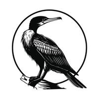 Cormorant Design,Art, Images, Cormorant on a white background vector