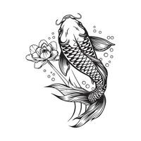 Koi fish Image and Illustrations on White Background vector