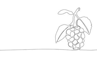 Blackberry one line continuous. Line art Blackberry. Hand drawn art. vector