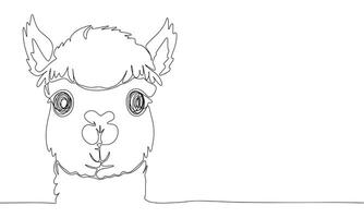 Alpaca one line continuous. Line art Alpaca. Hand drawn art. vector