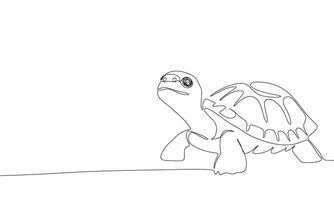 Turtle one line continuous. Line art tortoise. Hand drawn art. vector