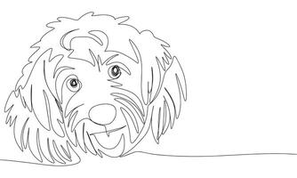 Cute dog face one line continuous. Line art poodle. Hand drawn art. vector