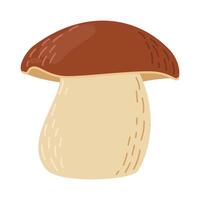 Porcini forest mushroom. Hand drawn boletus edulis fungus. Porcini fresh edible mushrooms cartoon style decor element. Cep. King bolete on white background. Penny bun illustration vector