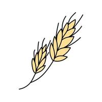 Wheat, cereals in doodle style. illustration . vector