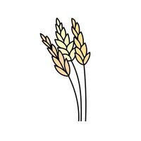 Wheat, cereals in doodle style. illustration . vector