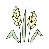 Wheat, cereals in doodle style. illustration . vector