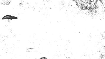 Abstract dust particle and dust grain texture on white background. Grunge background. vector