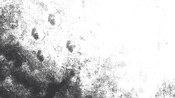 Abstract dust particle and dust grain texture on white background. Grunge background. vector