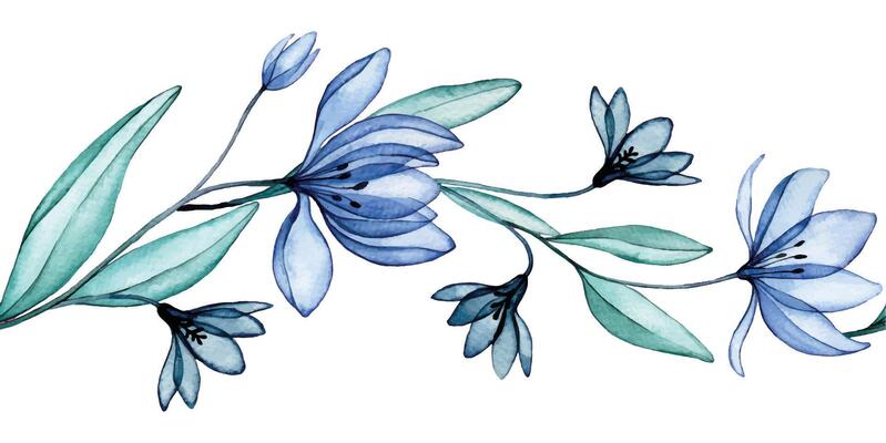 seamless border of transparent flowers, watercolor pattern. blue wildflowers, x-ray